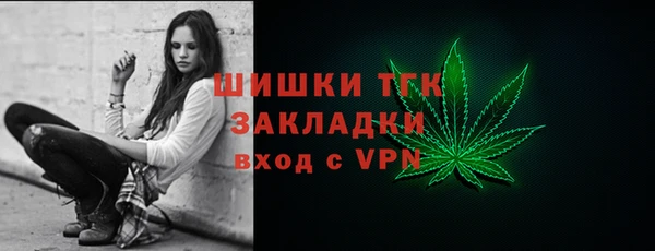 молекула духа Волосово