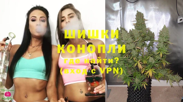 молекула духа Волосово