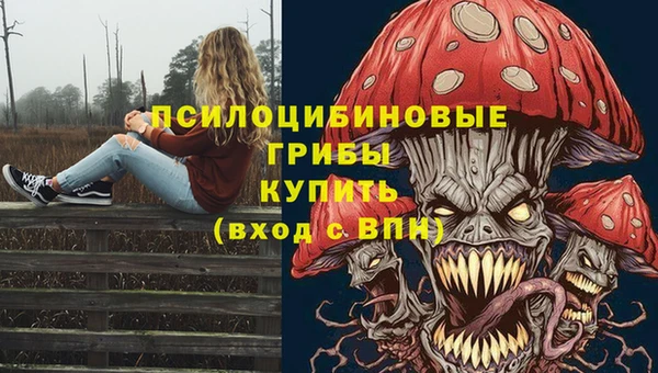 твердый Володарск
