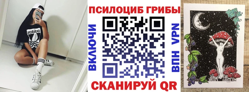 Купить Байкальск Галлюциногенные грибы GOLDEN TEACHER